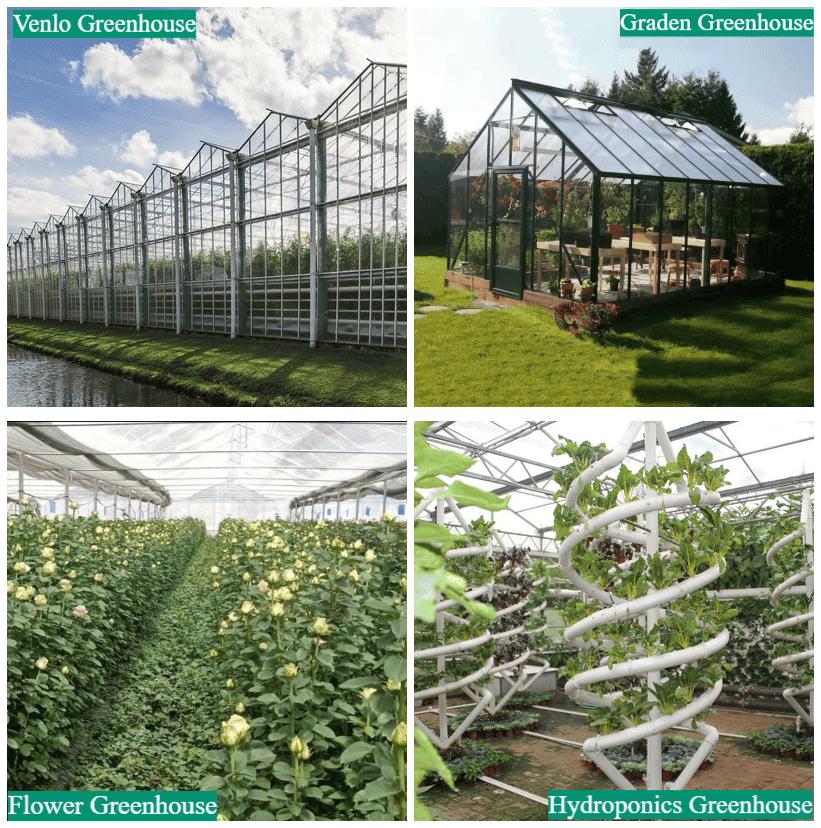 Glass Greenhouse